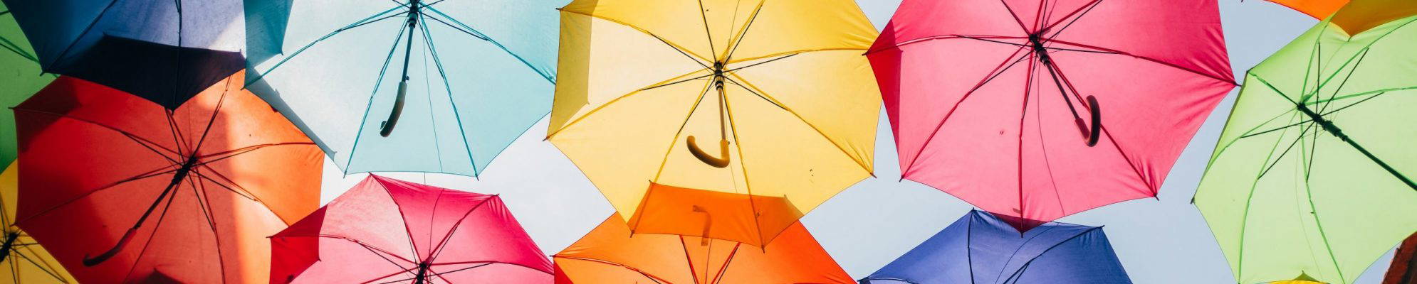 Umbrella zoomed out Umbrella zoomed out